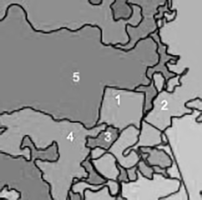 Mapa de suelos de la ciudad de Gualeguay y su entorno.