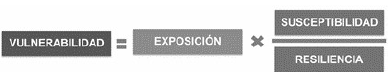 F�rmula de vulnerabilidad