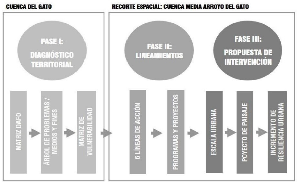 Fases de la metodolog�a
