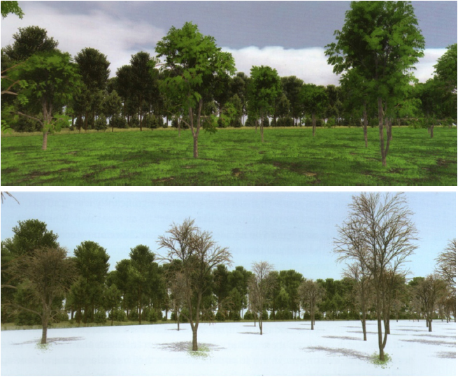 Un ejemplo de software que simula el comportamiento anual de las especies debido a los ciclos fenol�gicos y el crecimiento vegetativo a lo largo del tiempo. Escenario de una forestaci�n experimental en Welzow, Alemania. Autor: Lenn� 3D.