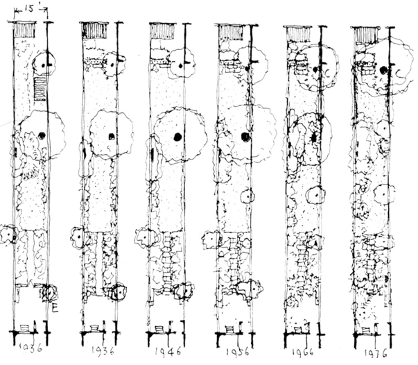 Registro retrospectivo, realizado en 1976 por Geoffrey Jellicoe, de la evoluci�n del jard�n de su propia casa en Londres.