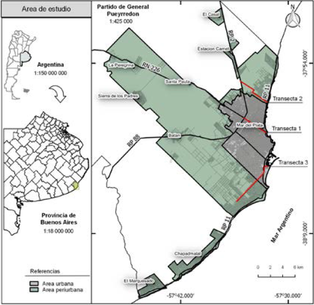 �rea de estudio y transectas de an�lisis
