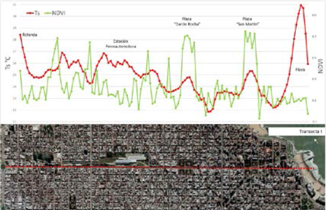 Valores de Ts y NDVI para la Transecta 1. �rea Urbana Mar del Plata.
