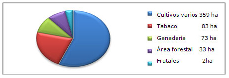 Figura 1. Distribución del área por cultivos de la CCS ?José María Pérez Capote?