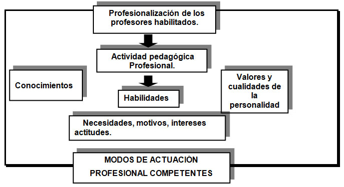 Figura.Componentes del proceso de profesionalización de los profesores habilitados.