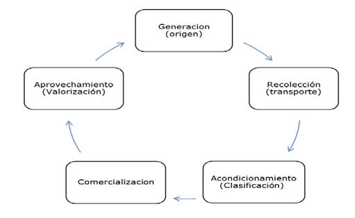 Figura 1. Cadena del Reciclaje
            