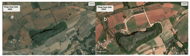 Figura 2ab. Sistema productivo Coco Solo tradicional y agroecológico.
            