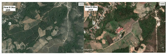 Figura 3ab. Sistema productivo El Olico sin actividad agrícola y sistema agroecológico.
            