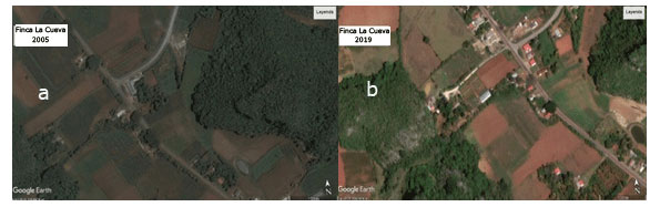 Figura 6ab. Sistema agrícola La Cueva tradicional, 2005 y sistema agrícola diversificado, 2019.
            