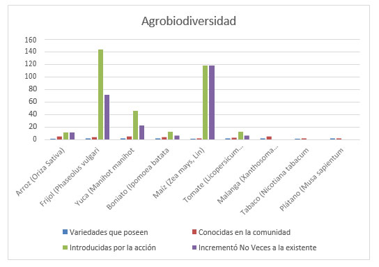 Figura 7. Agrobiodiversidad en las fincas estudiadas.
            