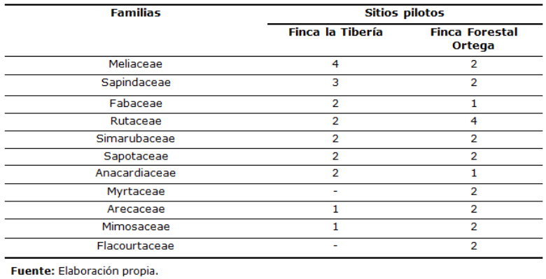 Familias mejor representadas en los sitios pilotos