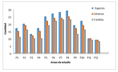 Figura 1. Comportamiento de la diversidad del bosque en las diferentes áreas de estudio.