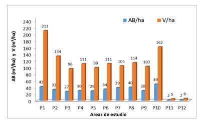 Figura 4. Comparación del Área Basal total y el Volumen de las áreas de estudio. Leyenda: AB- Área Basal total; V- Volumen.