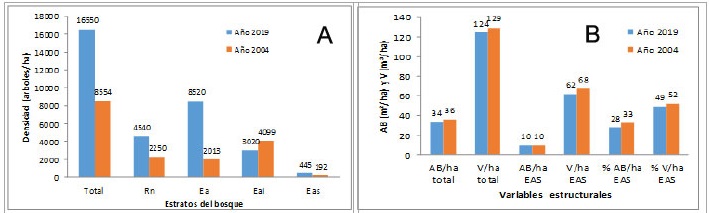 Figura 6. Comparación de la densidad de los estratos del bosque (A) y las variabless Área Basal y Volumen en el Estrato Arbóreo superior del bosque semideciduo de Cabo San Antonio, en períodos de medición 2004 y 2019.