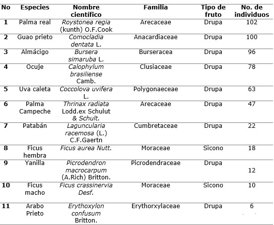 Tabla 3. Especies de plantas del bosque de ci�naga utilizadas como fuente de alimentaci�n por la cotorra en el per�odo de enero de 2014 a junio de 2016. 