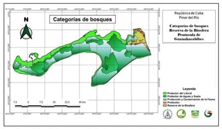 Figura 3. Mapa de categoras de bosques de la Reserva de la Biosfera Pennsula de Guanahacabibes.
