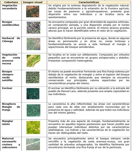 Tabla 1. Identificacin visual de coberturas.
