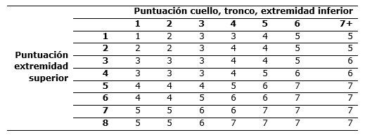 Tabla 8. Puntuaci�n final.