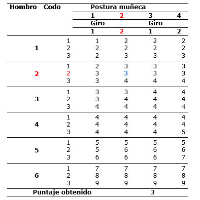 Tabla 9. Extremidades superiores - puntuaci�n postura.