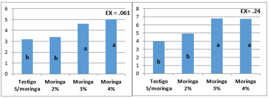 Figura 2. N�mero de entre nudos y longitud del tallo.