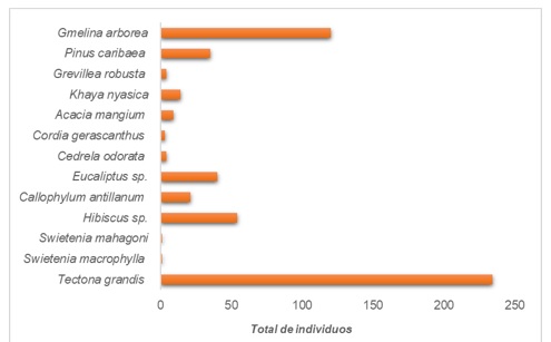 Figura 1. Abundancia de las especies arbreas de importancia econmica forestal.