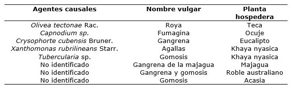 Tabla 3. Enfermedades parasitarias detectadas en el arbolado urbano del               reparto Hermanos Cruz