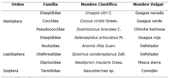 Tabla 4. Artrpodos fitfagos encontrados en el arbolado urbano del Reparto Hermanos Cruz