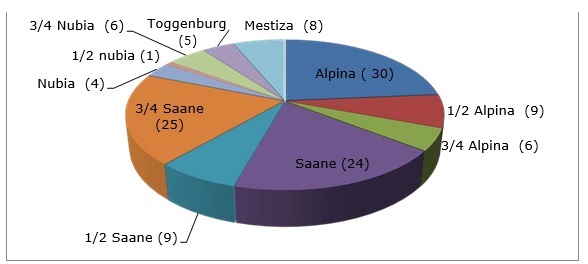 Figura 2. Composici�n gen�tica de las 127 cabras en producci�n en la finca integral &ldquo;El Olivo&rdquo;, en el a�o 2020.