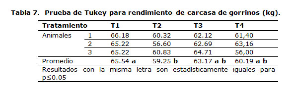 Prueba de Tukey para rendimiento de carcasa de gorrinos (kg).