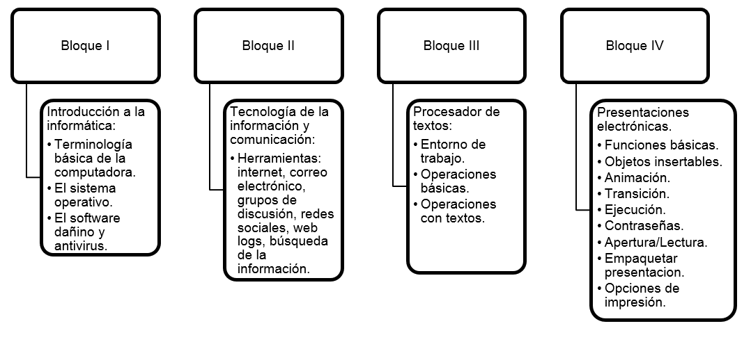 Figura 10: contenido disciplinar la asignatura Informtica del IEBOI.