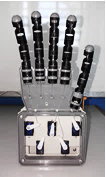 Experimental Robotic Hand