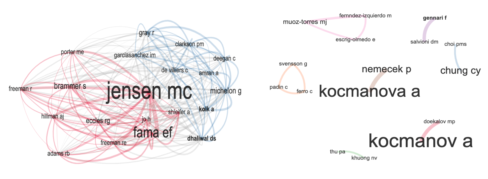 Figure 2. Co-citation networks and relationships between authors