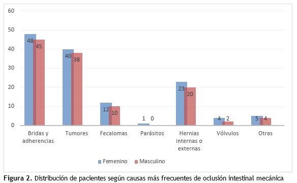 Figura 2