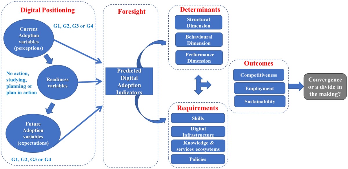 A framework for the analysis of digitalisation processes, determinants, requirements, and outcomes