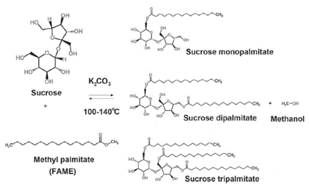 Sucrose fatty acid esters production by transesterification of fatty acid methyl ester (FAME) and sucrose.