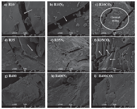 SEM micrographs of SA coal and chars formed in different atmospheres (CO2 and N2).