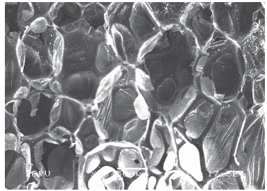 Electronic microscopy scan of waste polyurethane foam.