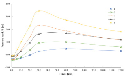 Temporal changes of head of pressure on individual slopes for a rain of 30 minutes in 5 individual slopes.
