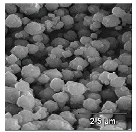 SEM micrograph of the FAU-Na zeolite.