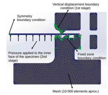 Mesh used in the simulations and mesh control in the specimen and in the contact area. 