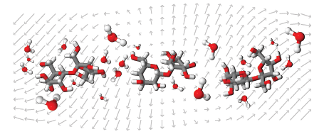 Schematic of sucrose-in-water solution. One may identify both sucrose and pure water molecules under an externally induced EM field (gray). Molecules, ions, and radicals change their locations and orientations as the EM field is perturbed.