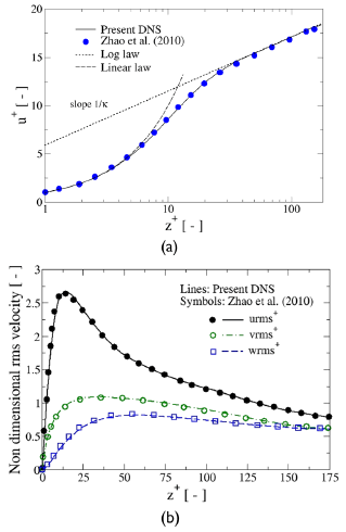 Non-dimensional velocity (a) and rms velocity profiles (b) for the single-phase flow. Comparison with Zhao et al. (2010). The theoretical linear and logarithmic laws are also shown in (a).