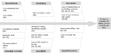 Representation of the Ishikawa diagram for management problems in the milking process of small-scale farms