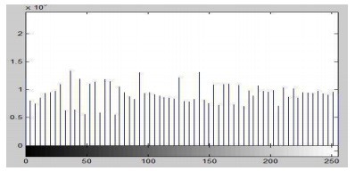 Figure 7: histogram for equilzed image (Mehul et al., 2013)