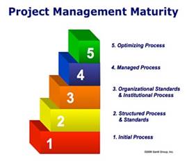 Figure 1: project managemnet maturity