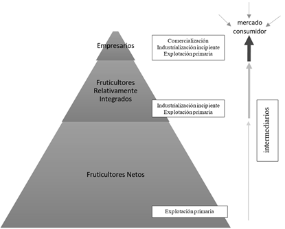 Actores involucrados en la cadena frutcola