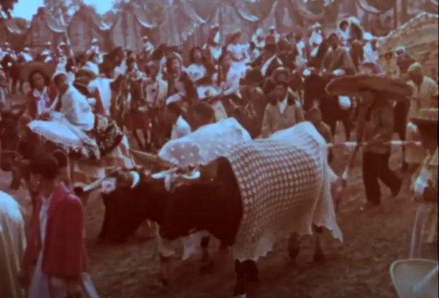 Fiesta a San Isidro, Toluca, Estado de M�xico