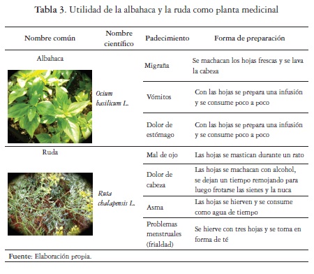 El simbolismo de consumo de las plantas aromáticas albahaca y ruda en los  servicios turísticos alternativos en Tulum (Quintana Roo, México)