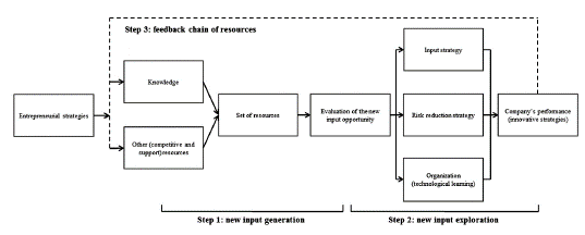 Entrepreneurial strategy: the generation and the exploration of new input opportunities