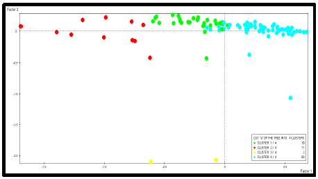 Clúster Administración y Gestión Deportiva